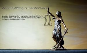 experto en insolvencia económica