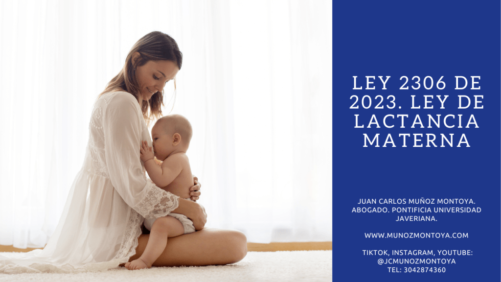 ¡Importante Ley Emitida por el Congreso para Fortalecer la Maternidad y la Primera&nbsp;Infancia!