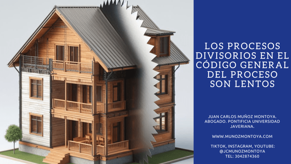 Los procesos divisorios en el Código General del Proceso: Tenía&nbsp;razón